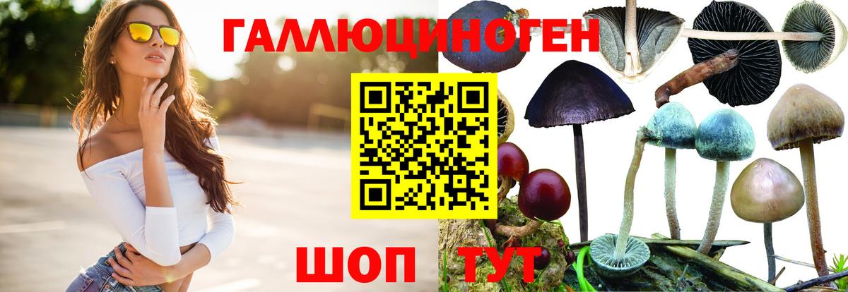 Псков  Псилоцибиновые грибы MAGIC MUSHROOMS  Вход с VPN 